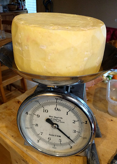 A weighing scale with a block of cheese on the pan.