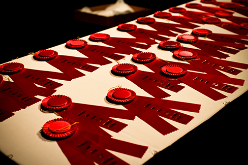 Varias cintas rojas del ganador yacen sobre una mesa blanca.