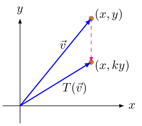 5.4: Special Linear Transformations in Two and Three Dimensions ...
