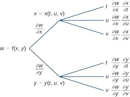 Um diagrama que começa com w = f (x, y). Ao longo do primeiro ramo, está escrito w/x, depois x = x (t, u, v), momento em que se divide em outros três subramos: o primeiro subramo diz t e depois w/x x/t; o segundo subramo diz u e depois w/x x/u; e o terceiro subramo diz v e depois w/x x/v. Ao longo do segundo ramo, está escrito w/y, então y = y (t, u, v), momento em que ele se divide em outros três subramos: o primeiro subramo diz t e depois w/y y/t; o segundo subramo diz u e depois w/y y/u; e o terceiro subramo diz v e depois w/y y/v.