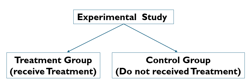 Flowchart illustrating an experimental study with two groups: Treatment Group (receives treatment) and Control Group (does not receive treatment).