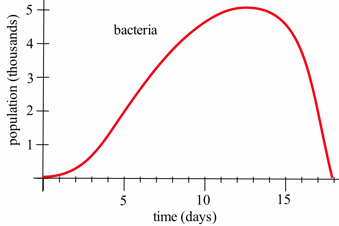 A red curve plotting the population of bacteria (in thousands) over time (in days). The population starts near zero, increases to a peak of 5000 around day 12, and then sharply decreases, suggesting a population boom followed by a crash.