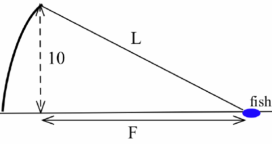 A heavy black circular arc rises from the left end of a horizontal black line segment. A blue oval near the other end of the horizontal line segment is labeled 'fish.' Another line segment extends from the blue oval to the upper end of the circular arc, with its lenght labeled 'L.' A dashed vertical line (with height indiciated as 10) with double arrows extends from the intersection of the upper endpoint of the arc and the slanted line down to a point on the horizontal like, with a solid double arrow extending from that intersection point to the blue oval, its length labeled 'F.'