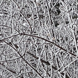 mindtouch.page#thumbnail