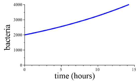 A blue exponential curve in the first quadrant starting at (0,2000) and ending near (14,4000). The horizontal axis has label 'time (hours)' and the vertical axis 'bacteria.'