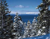 Picture of Lake Tahoe with the snowy tree on the right and the non-snowy tree on the left