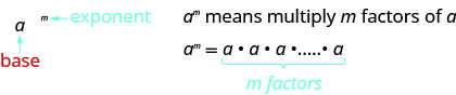 يحتوي هذا الشكل على عمودين. في العمود الأيسر توجد قوة m. يتم تسمية m باللون الأزرق كأس. تم تسمية a باللون الأحمر كقاعدة. في العمود الأيمن يوجد النص «a to the m powder يعني ضرب عوامل m لـ a.» يوجد أدناه ما يعادل قوة m مرة في المرة في المرة أ، متبوعًا بعلامة الحذف، مع كتابة «عوامل m» أدناه باللون الأزرق.