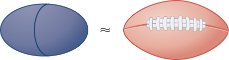 This figure has an oval that is approximately equal to the image of a football.