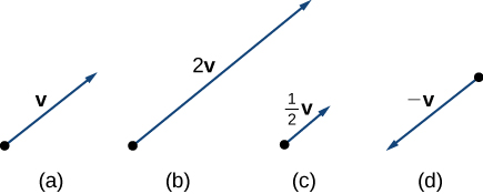 Este gráfico tiene 4 figuras. La primera figura es un vector etiquetado como “v.” La segunda figura es un vector el doble de largo que el primer vector y está etiquetada como “2 v.” La tercera cifra es la mitad que la primera y está etiquetada como “1/2 v.” La cuarta figura es un vector en la dirección opuesta a la primera. Está etiquetado como “-v.”