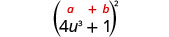 4 u cubed 加 1，括号中为平方。 表达式上方是通用公式 a 加 b，括号中的平方。