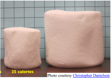 two marshmallows in the shape of circular cylinders in front of a grid. The first is about 3.5 units wide and 3.5 tall and labeled 25 calories. The second is about 5.5 units wide and 5 units tall.