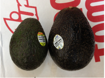 Two avocados, roughly egg-shaped. The smaller is about 3.5 units wide and 4.7 units tall, and the larger about 4.2 units wide and 5.7 units tall.