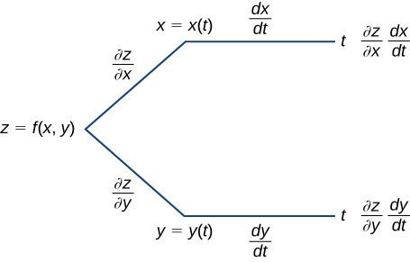 Un diagrama que comienza con z = f (x, y). A lo largo de la primera rama, se escribe z/x, luego x = x (t), luego dx/dt, luego t, y finalmente dice z/x dx/dt. A lo largo de la otra rama, se escribe z/y, luego y = y (t), luego dy/dt, luego t, y finalmente dice z/y dy/dt.