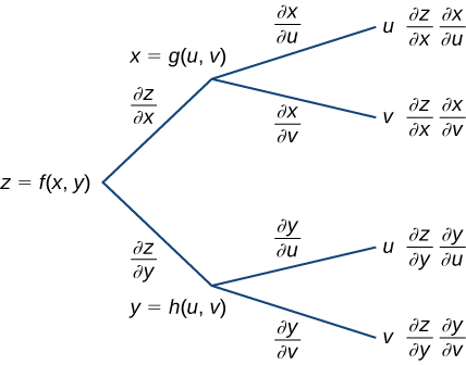 Um diagrama que começa com z = f (x, y). Ao longo do primeiro ramo, está escrito z/x, depois x = g (u, v), momento em que se divide em outros dois ramos: o primeiro subramo diz x/u, depois u e, finalmente, diz z/x x/u; o segundo subramo diz x/v, depois v e, finalmente, diz z/x x/v. ramo, está escrito z/y, depois y = h (u, v), momento em que se divide em outros dois ramos: o primeiro subramo diz y/u, depois u e, finalmente, diz z/y y/u; o segundo subramo diz y/v, depois v e, finalmente, diz z/y y/v.