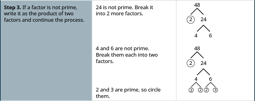 步骤3是将复合因子视为乘积，将其分解为另外两个因子并继续该过程。24不是素数。 它被分解为 4 和 6。4 和 6 不是素数。4 被分解为其因子 2 和 2，两者都被圈出。6 不是素数。 它分为因子 2 和 3，这两个因子都被圈出。