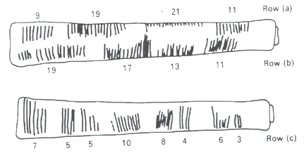 Imagen de un hueso de Ishango, con agrupaciones de marcas en tres filas. La fila a tiene grupos de 9, 19, 21 y 11 marcas, la fila b tiene grupos de 19,17, 13 y 11 marcas, y la fila c tiene grupos de 7, 5, 5, 10, 8, 4, 6 y 3 marcas.
