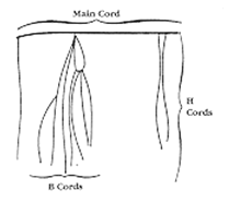 A quipu collection of cords and knots. A main cord is shown at the top, with several H cords attached on the right side. In the middle of the main cord, there are cords attached, with additional cords labeled B cords tied to those.