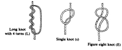A picture of three knot types:  A long knot, where the cord wraps 4 turns during the knot, a single knot, and a figure eight knot.