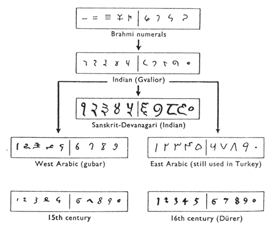 A flow chart showing the evolution of numerals from Brahmi to Indian, then splitting into three branches: West Arabic, Sanskrit-Devanagari, and East Arabic.