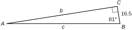 Un triángulo rectángulo con esquinas etiquetadas A, B y C. Lados etiquetados b, c y 16.5. Ángulo de 81 grados también etiquetado.