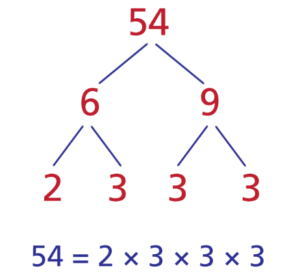 Factors of 54=6 times 9 where 2 times 3 =6 and where 3 times 3 = 9, therefore 54=2 times 3 times 3 times 3