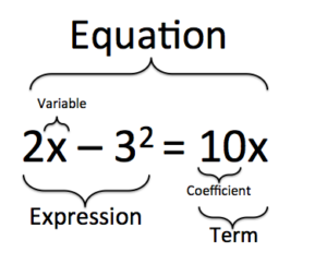 Equation made of coefficients, variables, terms and expressions.