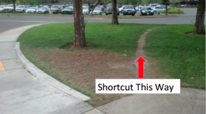 Picture of a sidewalk leading to a parking lot. There is a path through the grass to teh right of the sidewalk through the trees that has been made by people walking on the grass. The shortcut to the parking lot is the preferred way.