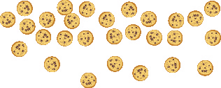 Una imagen de 28 galletas colocadas al azar.
