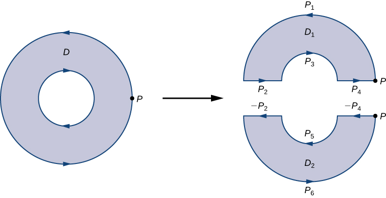 Schéma d'un anneau, c'est-à-dire une région circulaire percée d'un trou à l'intérieur, comme dans un beignet. Sa limite est orientée dans le sens antihoraire. Un point P sur la limite extérieure est étiqueté. Il s'agit de l'extrémité droite du diamètre horizontal. L'anneau est divisé horizontalement au milieu en deux régions distinctes qui sont chacune simplement connectées. Le point P est marqué sur ces deux régions, D1 et D2. Chaque région possède des limites orientées dans le sens antihoraire. La courbe supérieure de D1 est étiquetée P1, le côté plat gauche est P2, la courbe inférieure est P3 et le côté plat droit est P4. La courbe inférieure de D2 est P6, le côté plat gauche est —P2, la courbe supérieure est P5 et le côté plat droit est —P4.