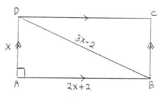 Screen Shot 2020-11-17 at 8.51.56 PM.png