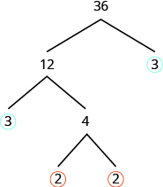 La figura muestra un árbol factorial con el número 36 en la parte superior. Dos ramas se están dividiendo de menos de 36. La rama derecha tiene un número 3 al final con un círculo alrededor de ella. El ramal izquierdo tiene el número 12 al final. Dos ramas más se están separando de las menores de 12. La rama derecha tiene el número 4 al final y la rama izquierda tiene el número 3 al final con un círculo alrededor de ella. Dos ramas más se están separando de las menores de 4. Tanto la rama izquierda como la derecha tienen el número 2 al final con un círculo alrededor de ella.