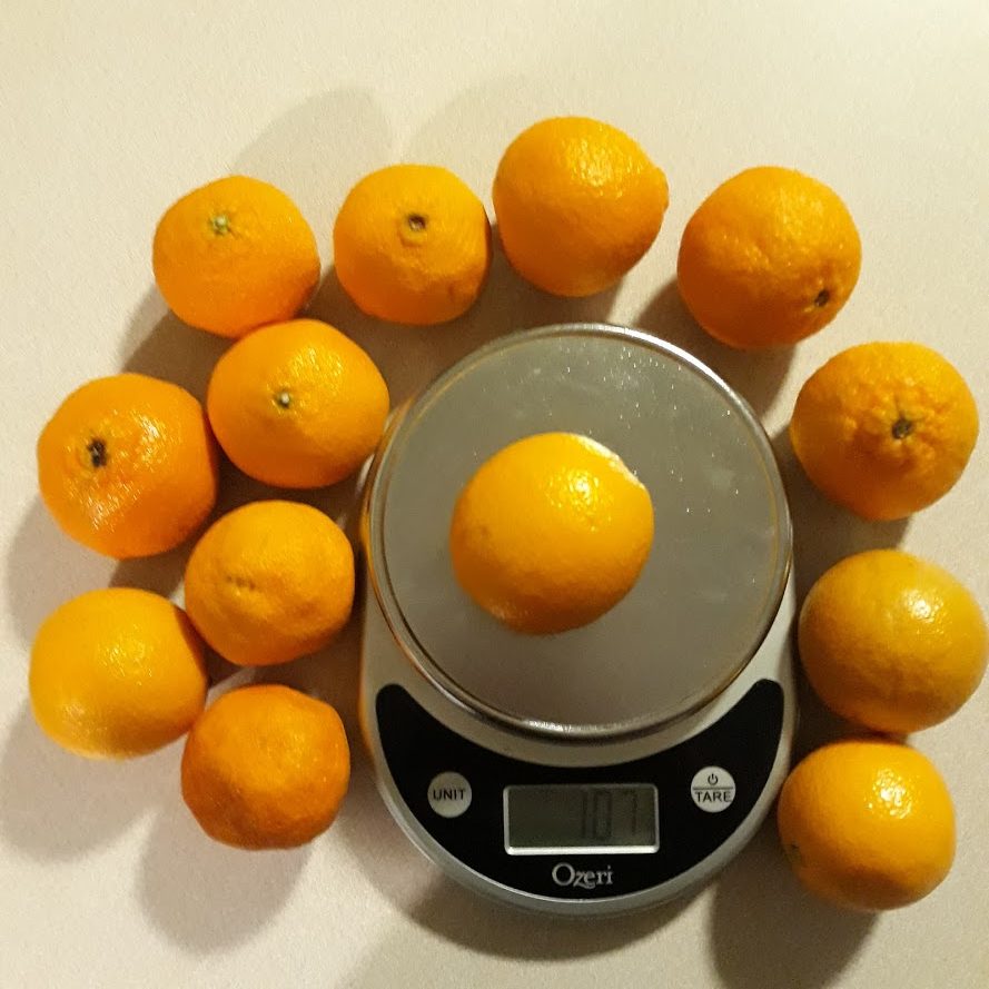 mean-median-mode-clementines-rotated-1.jpg