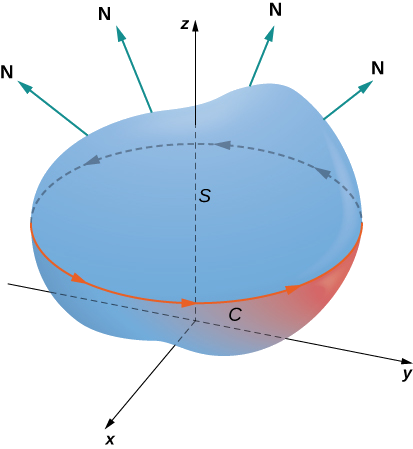 Schéma d'une surface S en trois dimensions. L'orientation de la courbe C autour de sa limite est positive. Diverses normales sont extraites de la surface.
