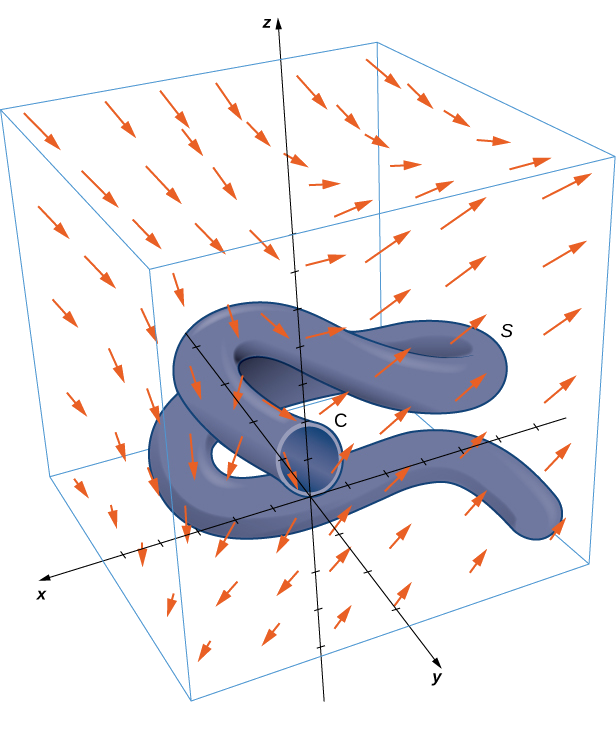 Schéma d'une surface complexe S dans un champ vectoriel tridimensionnel. La surface est un tube cylindrique qui se tord arbitrairement dans l'espace tridimensionnel. L'extrémité supérieure du tube est un cercle ouvert menant à l'intérieur du tube. Il est centré sur l'axe z à une hauteur de z=1 et possède un rayon de 1. L'extrémité inférieure du tube est fermée par un capuchon hémisphérique à l'extrémité. Les flèches vectorielles sont mieux décrites par leurs composants. La composante x est positive partout et augmente à mesure que z augmente. La composante y est positive dans les premier et troisième octants et négative dans les deux autres. La composante z est nulle lorsque y=x et devient plus positive avec des valeurs x et y plus positives et plus négative dans l'autre sens.