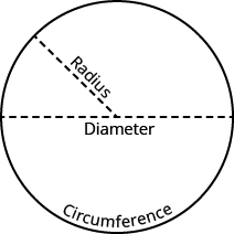 A circle is shown. A dotted line running through the widest portion of the circle is labeled as a diameter. A dotted line from the center of the circle to a point on the circle is labeled as a radius. Along the edge of the circle is the circumference.