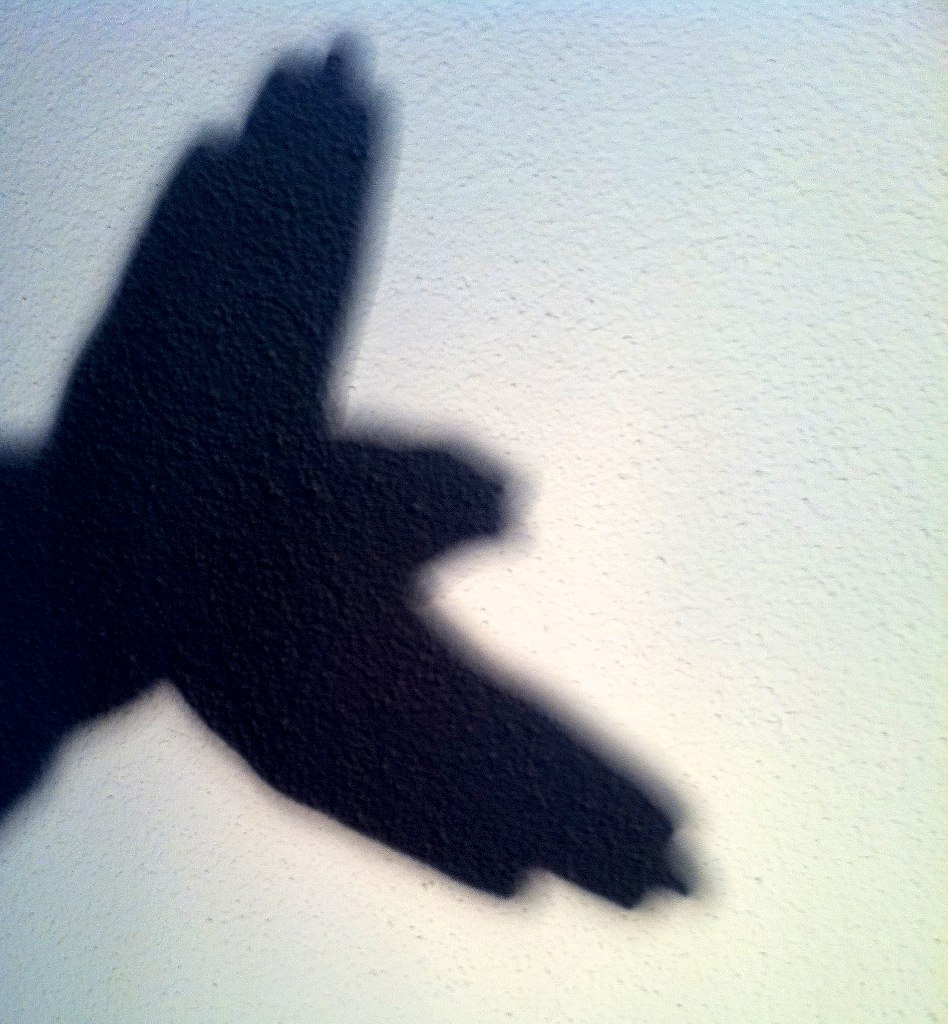 Un pájaro hecho de sombras de manos.