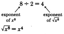 Ocho dividido por dos es igual a cuatro. Hay una flecha apuntando hacia ocho que es etiquetada como “exponente de x a la octava potencia”. Hay otras flechas apuntando hacia cuatro que se etiqueta como “exponente de raíz cuadrada de la expresión x a la octava potencia”.