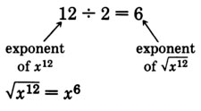 Doce dividido por dos es igual a seis. Hay una flecha apuntando hacia las doce que se etiqueta como “exponente de x a la duodécima potencia”. Hay otras flechas apuntando hacia seis que se etiqueta como “exponente de raíz cuadrada de la expresión x al duodécimo poder”.