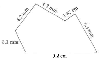 Un polígono con lados de las siguientes longitudes: 9.2cm, 31mm, 4.2mm, 4.3mm, 1.52cm y 5.4mm.