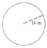 A circle of radius 14m.