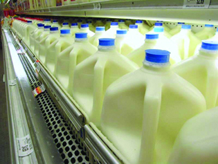 A photograph of a milk display in a grocery store.