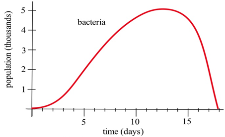 bacterias 1