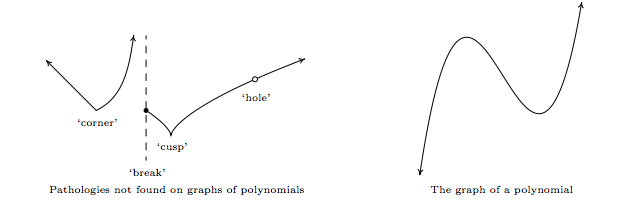 Graph of a function that is not a polynomial and a graph of a polynomial