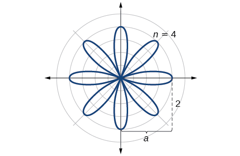 Croquis de la curva de rosa r=2*cos (4 theta). Se sale distancia de 2 por cada pétalo 2n veces (aquí 2*4=8 veces).
