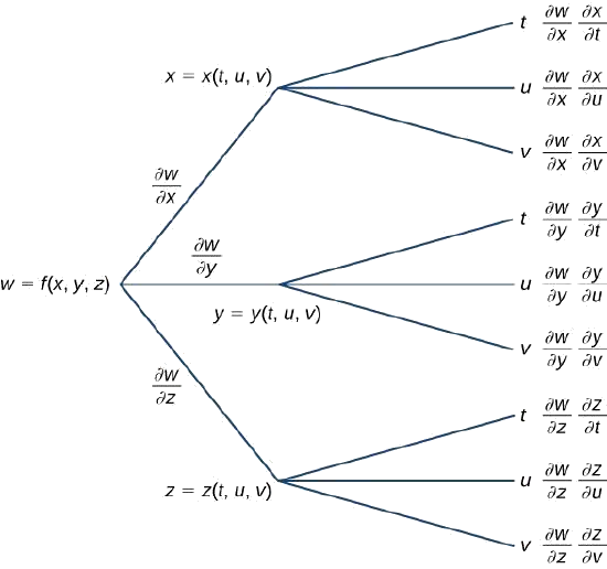 A diagram that starts with w = f(x, y, z). Along the first branch, it is written ∂w/∂x, then x = x(t, u, v), at which point it breaks into another three subbranches: the first subbranch says t and then ∂w/∂x ∂x/∂t; the second subbranch says u and then ∂w/∂x ∂x/∂u; and the third subbranch says v and then ∂w/∂x ∂x/∂v. Along the second branch, it is written ∂w/∂y, then y = y(t, u, v), at which point it breaks into another three subbranches: the first subbranch says t and then ∂w/∂y ∂y/∂t; the second subbranch says u and then ∂w/∂y ∂y/∂u; and the third subbranch says v and then ∂w/∂y ∂y/∂v. Along the third branch, it is written ∂w/∂z, then z = z(t, u, v), at which point it breaks into another three subbranches: the first subbranch says t and then ∂w/∂z ∂z/∂t; the second subbranch says u and then ∂w/∂z ∂z/∂u; and the third subbranch says v and then ∂w/∂z ∂z/∂v.