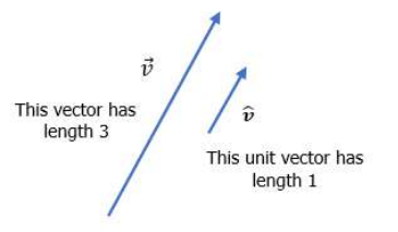 An image showing two parallel vectors. One vector has the length of 3 and the other vector has the length of 1.